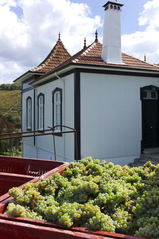 Casa De Cambres Guest House Lamego Eksteriør bilde